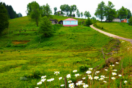 Doğa 