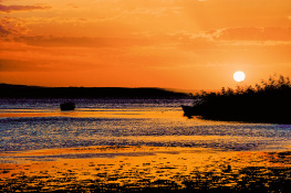 Bandırma Kuş Cenneti