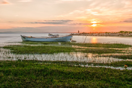 Kuş Cenneti - Bandırma