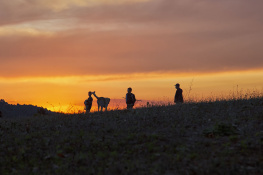 Dalliıca Sırtlarında Akşam