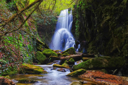 Dağpınar Şelalesi