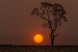 Um belo pôr do sol
