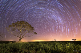 Startrail