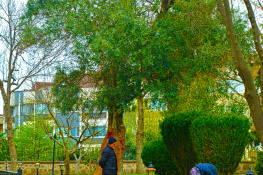Şehir ve mimari 