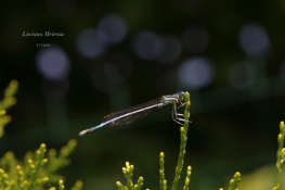 Tiny moments, endless beauty!