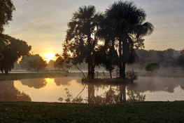 Amanhecer