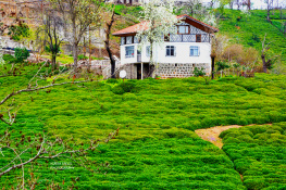 Doğa 