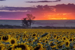 Cores do entardecer