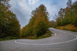 Ring Yolu - Suuçtu