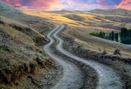 YoL