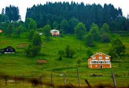 Manzara 