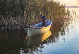Balıkçı