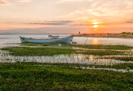 Kuş Cenneti - Bandırma
