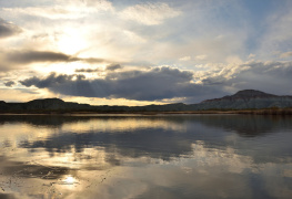 Nallıhan Kuş Cenneti