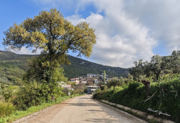 Akçapınar Bursa 