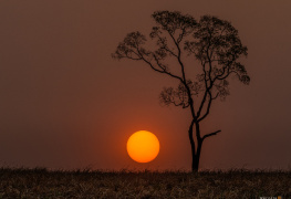 Um belo pôr do sol