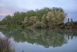 Kirmasti Çayı Yansımaları