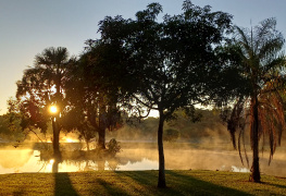 Amanhecer no Parque dos Lagos