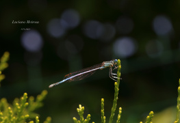 Tiny moments, endless beauty!
