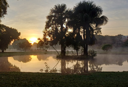 Amanhecer