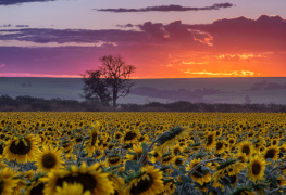 Cores do entardecer