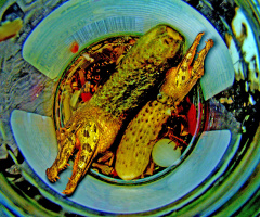 FOTOMONTAGE / BISSIGE GURKEN ;-)