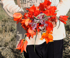 Collected Gwarikh ❤️