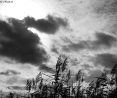stormy