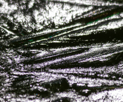 dof