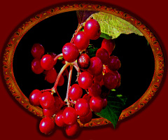BEEREN MIT RAHMEN 