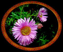 BLÜTEN MIT RAHMEN