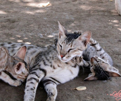 Play time with Mom ❤️