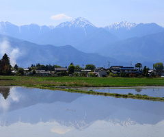 Reflection