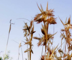 Pointed Beautiful Geometry 