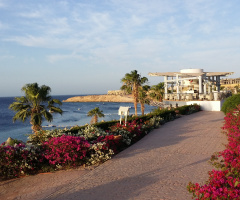 Egypt - Sharm Alsheikh