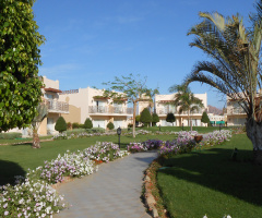 Egypt  - Hurghada