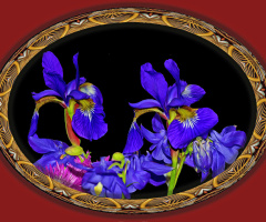 BLÜTEN