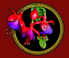BLÜTEN