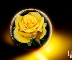 Glass-ball effect 