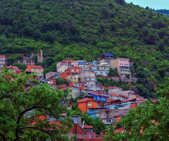 Bursa Muradiye Civarı Yamaçlardan 1 Kesit