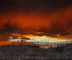 An Arizona Monsoon Sunset July 2022