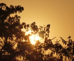 sunrise