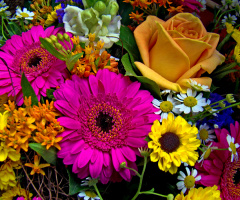 BLÜTEN