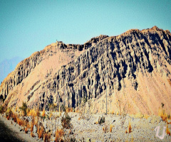 Rugged Beauty 