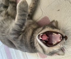 Uyku zamanı