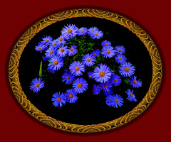BLÜTEN