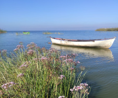 Manyas Kuş Cenneti