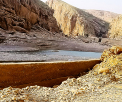 Rugged Beauty 