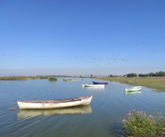 Kuş cenneti
