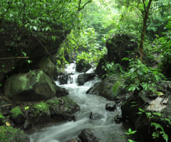 RIAK AIR GUNUNG